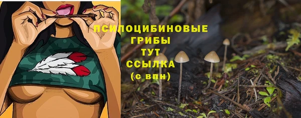 марки lsd Алексеевка