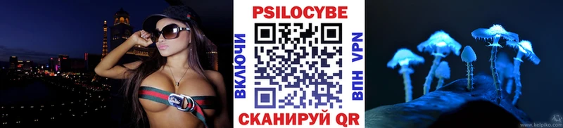 Галлюциногенные грибы Psilocybe Крымск